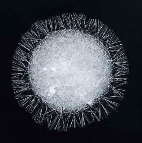 1477647731749226.jpg QQ图片20161028165615.jpg