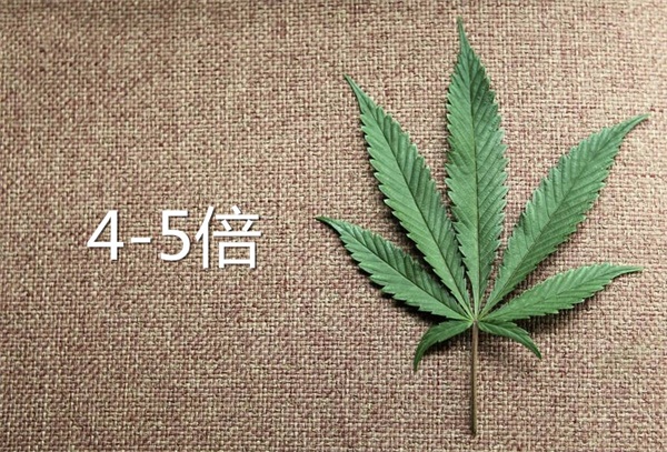 1566872649501664.jpg 5.jpg