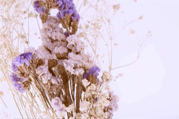 1566872573101623.jpg 1.jpg