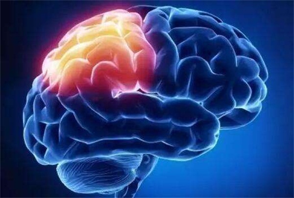 1566872662123557.jpg 6.jpg