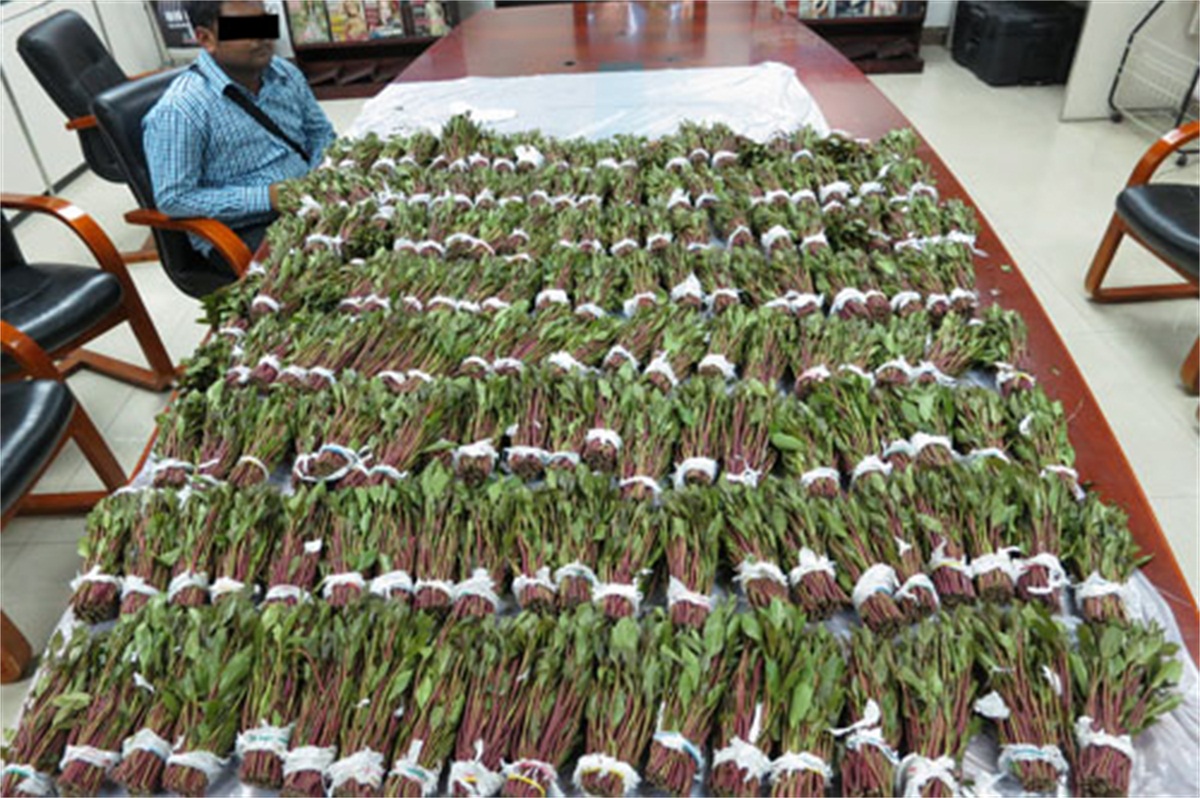 1564714311107489.jpg 1564714311107489.jpg