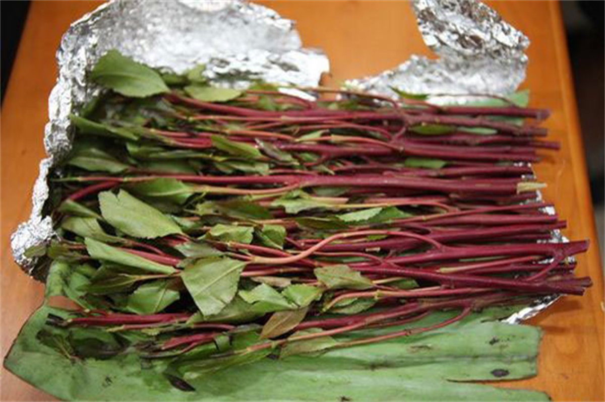 1564714283103332.jpg 1564714283103332.jpg