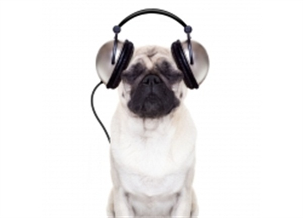 1562813215421496.jpg 240420-1411240H13253-lp.jpg